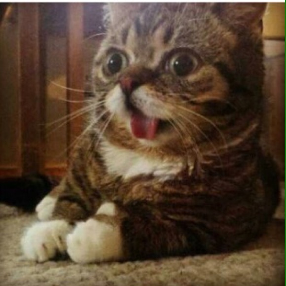 Meet your Posher, Maila - Picture 1 of 1