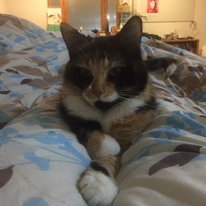 Meet your Posher, Ashlee