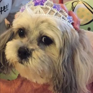 Meet your Posher, Donna