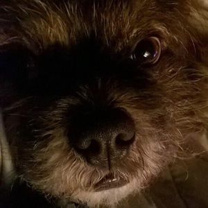 Meet your Posher, Mary