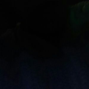 Meet your Posher, Sonya