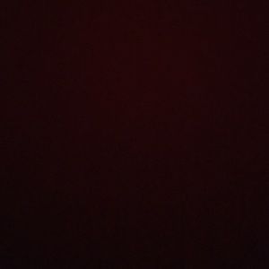 Meet your Posher, Clarissa