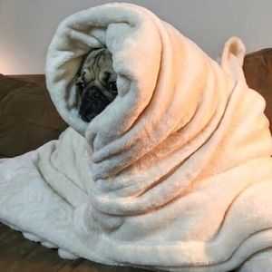 Meet your Posher, Janette