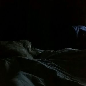 Meet your Posher, Bethann