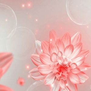 Meet your Posher, Lorena