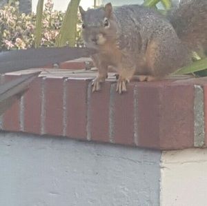 Meet your Posher, Asika