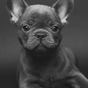 Meet your Posher, Alisha