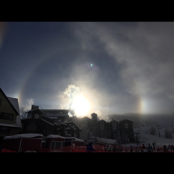 Meet your Posher, Caroline - Picture 1 of 1