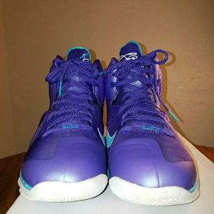 LeBron Hornets 9 size 10