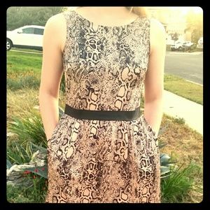 Snakeskin Print Dress