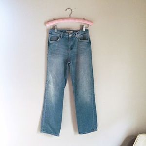 Zara mom jeans sz 24