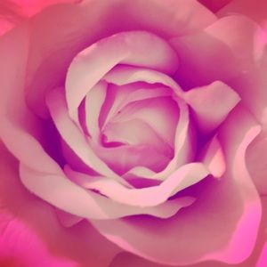 Meet your Posher, Sophia