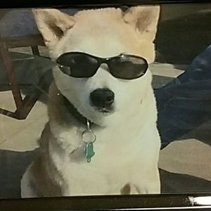 Meet your Posher, Candy