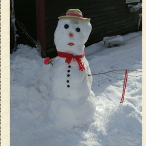 Meet your Posher, Jodi