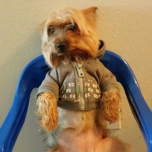 Meet your Posher, Annalissa