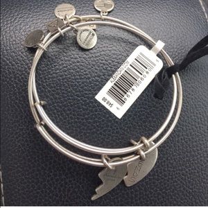 Best friend Alex and Ani in silver