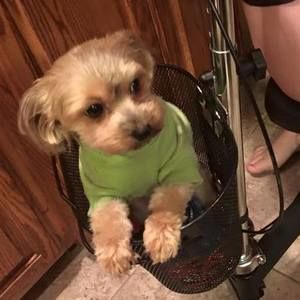 Meet your Posher, Beth