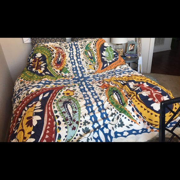 Anthropologie Duvet, euro shams and bed skirt