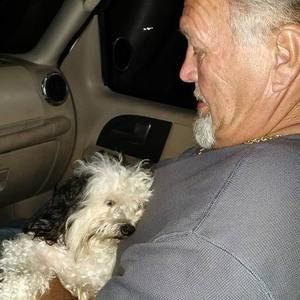 Meet your Posher, Penny