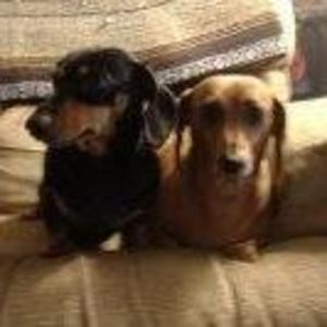 Meet your Posher, Teresa