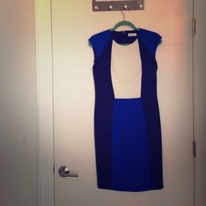 Final Sale! Calvin Klein color block sheath dress