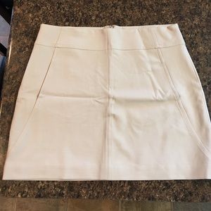Ann Taylor Skirt