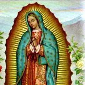 Meet your Posher, Fiorella