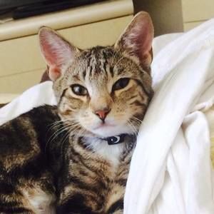 Meet your Posher, Lisa