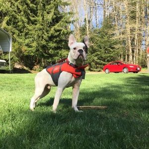 Meet your Posher, Gloria