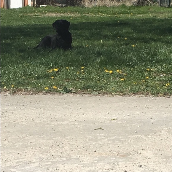 Meet your Posher, Brianne