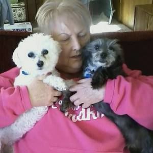 Meet your Posher, Barbara