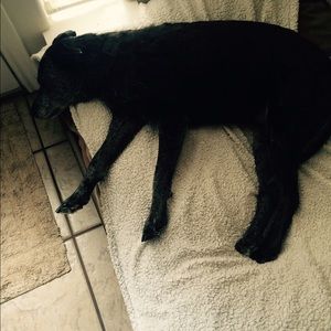 Meet your Posher, Sue