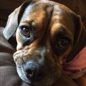 Meet your Posher, Tina