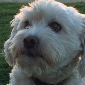 Meet your Posher, Patricia