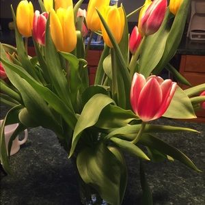 Meet your Posher, Caryl