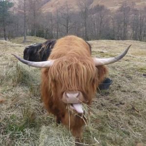 Meet your Posher, Shannon