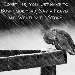 Meet your Posher, Peggy