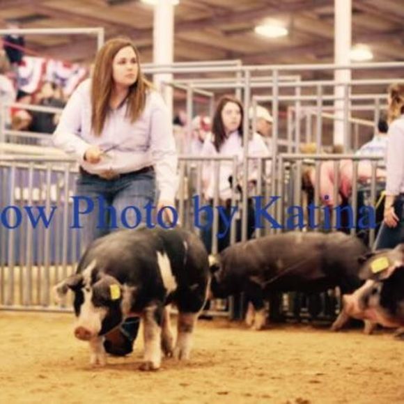 Meet your Posher, Becca