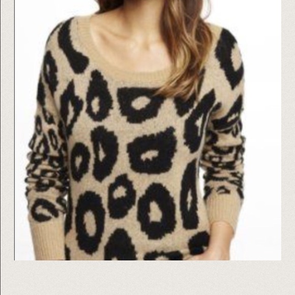 Express Leopard Jacquard Tunic Sweater