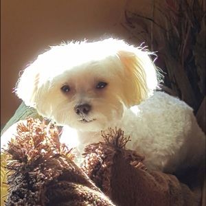 Meet your Posher, Tania