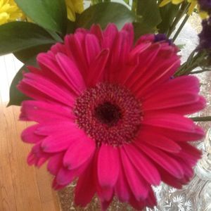 Meet your Posher, Jocelyn