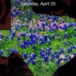 Meet your Posher, Pamela