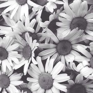 Meet your Posher, Maggie