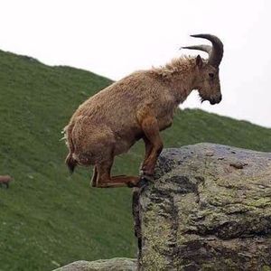 Meet your Posher, Rashawn