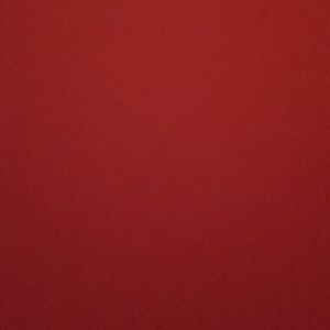 Meet your Posher, Elsa