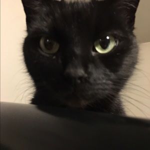 Meet your Posher, Brianna