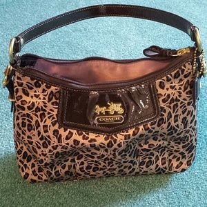 Real small coach pursh