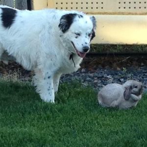 Meet your Posher, Christine