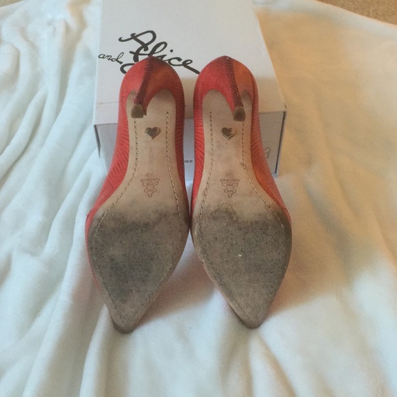 Alice and Olivia Heels - Picture 3 of 4