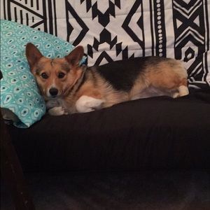 Meet your Posher, Brandy